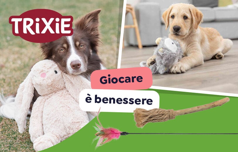 Scopri i prodotti!